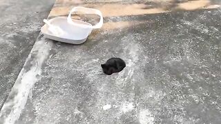 The kitten cried when I was about to give it a bath. The kitten did not want a bath.
