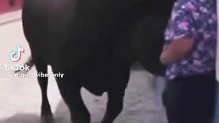Se quoi le problème