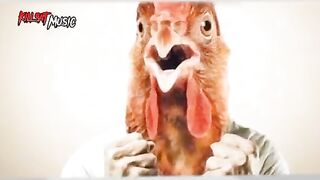 #funny video politics related