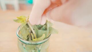 6 крутых экспериментов с водой