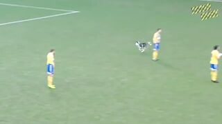 20 EPIC MOMENTS WITH ANIMALS ON THE FOOTBALL PITCH