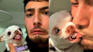Funny Angry Pets Videos of Tiktok