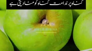Gunnah pr nidamat