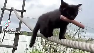 Смотри как я умею