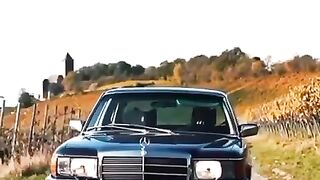 Mercedes Benz is really good and nise car