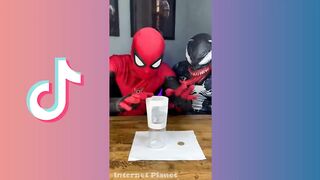 Funny Spider Slack TikTok Compilation