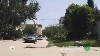 Бим 2 сезон 12 серия