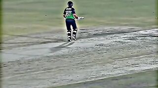 Amazing scene ????