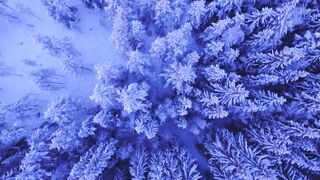 Snow falling