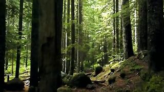 Beauty of nature