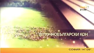 ДУНАВСКИ КОН