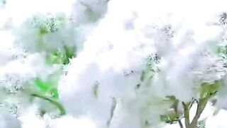 Beautiful nature
