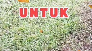 Kata2 motivasi hidup