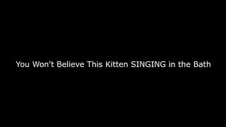 Miraculous journey of treating fleas in kittens and caring for kittens after 15 days. Full story...
