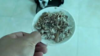 On the first day of learning to eat, the kitten stumbled forward and began to eat greedily.