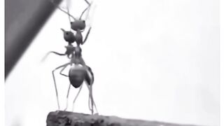 Life story sad story