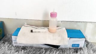 Caring for two starving newborn kittens in a 2-day-old cardboard box