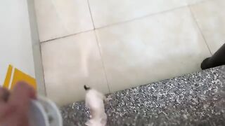 The kittens has grown up and knows how to run after its owner when called by name to ask for food.