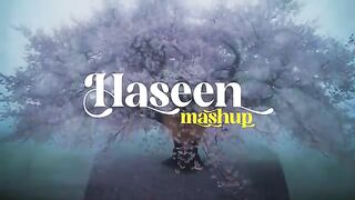 Talwiinder Haseen mashup full song