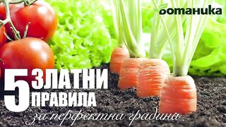 КАКВО ДА СЕЕМ АПРИЛ -МАЙ