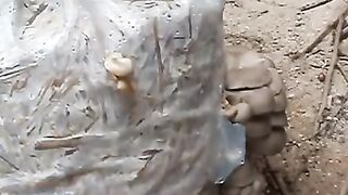 ГЪБА КЛАДНИЦА