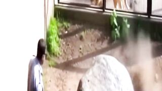 Zoo Workers Survived the Impossible ???? #CCTV Footage