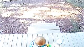 Cat Saves Child from Wolf #CCTV Footage