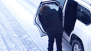 CCTV Captures Terrifying Wolf Attack in Arctic Snowstorm #ArcticWolves #CCTVFootage #Survival