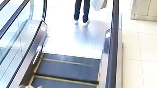 Goat Rides Escalator #wildliferescue #humanity #animals #rescueefforts #funny