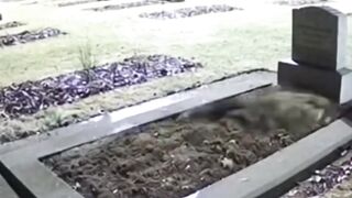 CCTV footage captures a grave in a cemetery moving strangely