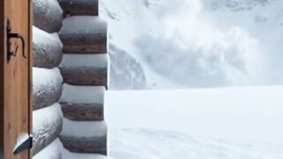 Cat sprints to cabin as avalanche hits