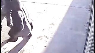 Armored Man Vs Gorilla #gorilla #fight