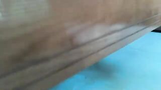 A shy kitten's first meeting with his friends