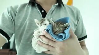 The kitten's first wobbly steps trying to follow me, so much fun