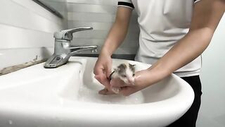 Adorable kittens wake up and demand milk