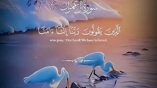Tilawat e Quran paak