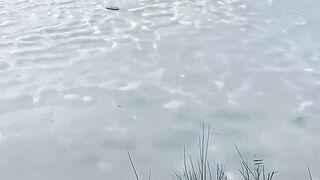 File name Best Funny Memes of the Year! Top 10 ????.mp4