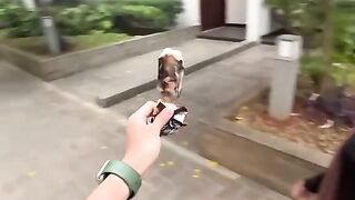 Oklinfia suka ecim bawah