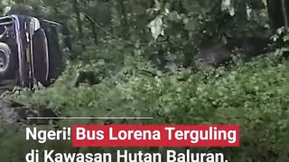 ???? Bus Lorena terguling di Situbondo