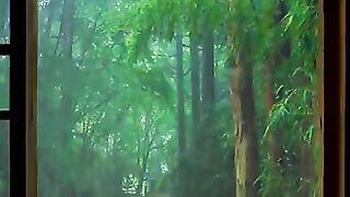 rain sounds