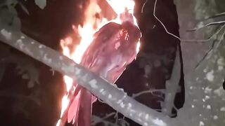 Clip] video de supremo filtrado video de supremo supremo honduras