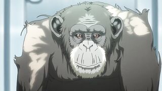 Darwin Jihen Eps 3