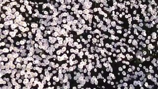 This is what the beginning of summer looks like in the Caucasian Mineral Waters.