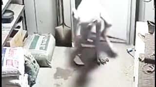 Pitbull Didn’t Hesitate ???? #cctv #pitbull #caughtoncamera #horror