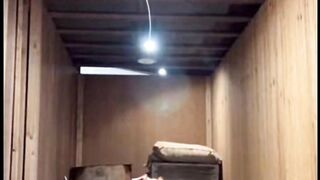 This Security Footage Is Disturbing #CCTV #Pitbull #SecurityCamera #DogAlert
