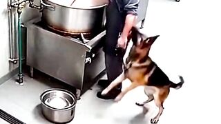 Hero Warns Owner Before Gas Explosion #RealCCTVFootage #CaughtonCamera