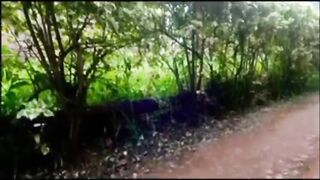 rain sounds