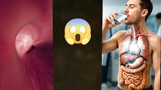 3d animation of the Tricuspid Valve  #meded #anatomy #3dmodel || when you drink cold water(two part)