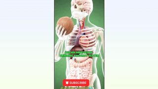 WHAT HAPPENS WHILE YOU DRINKING COCONUT WATER INSIDE HUMAN BODY