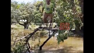 Lagi asik main di pohon sambil ngegantung.